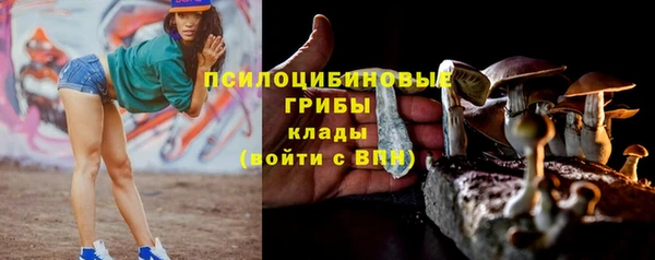 МДПВ Ельня