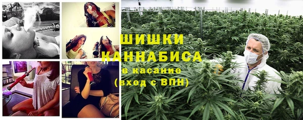 МДПВ Ельня