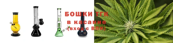 МДПВ Ельня