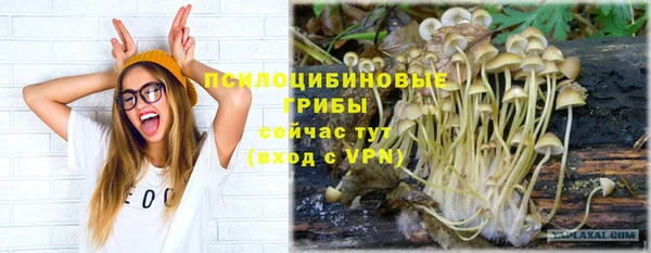 МДПВ Зеленодольск