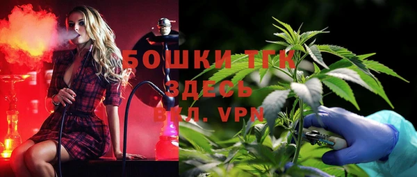 МДПВ Ельня