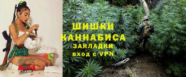 МДПВ Ельня