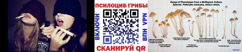 Псилоцибиновые грибы Psilocybe  hydra зеркало  Кинешма 