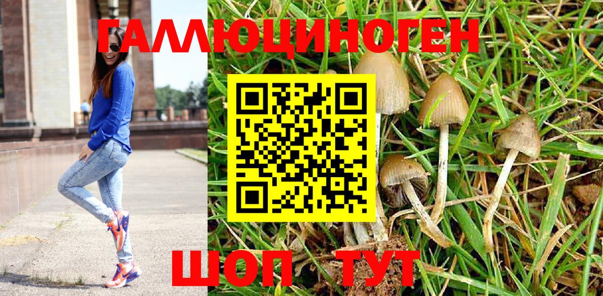 Кинешма  Галлюциногенные грибы прущие грибы  наркотики  Вход с VPN  Галлюциногенные грибы GOLDEN TEACHER 