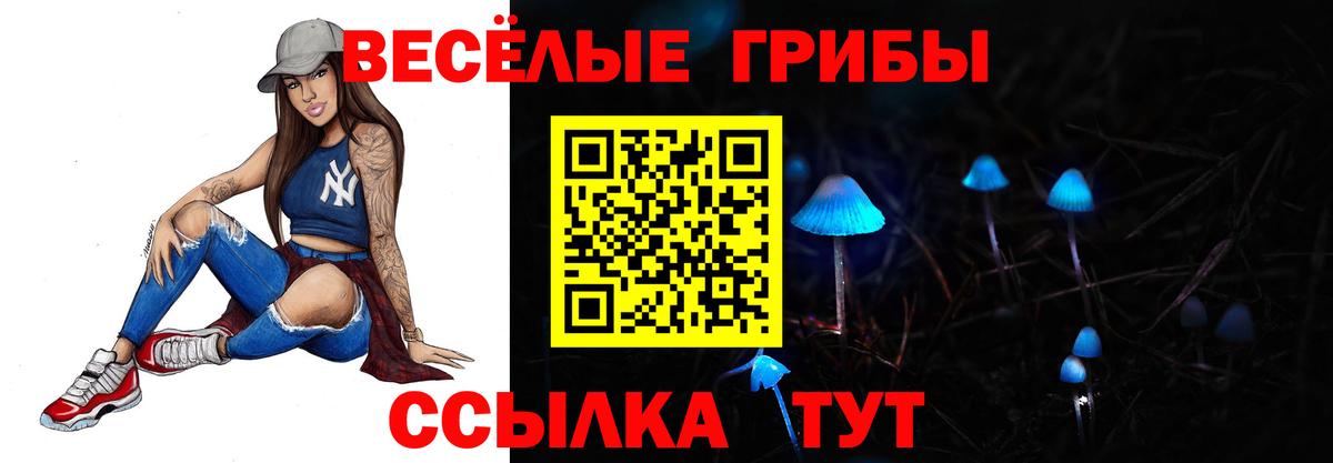 Псилоцибиновые грибы Psilocybe Кинешма
